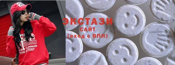 индика Верхний Тагил