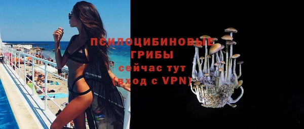 индика Верхний Тагил