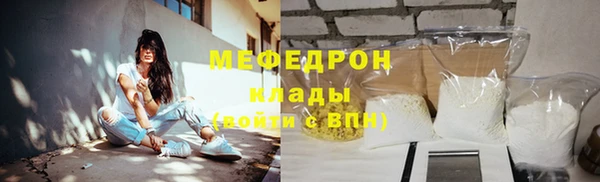 индика Верхний Тагил