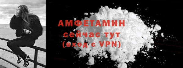 индика Верхний Тагил