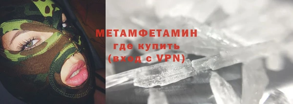 индика Верхний Тагил