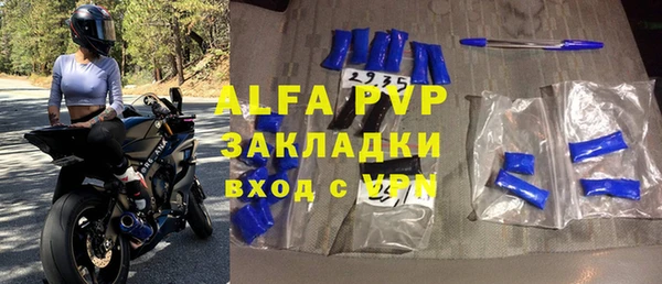 индика Верхний Тагил