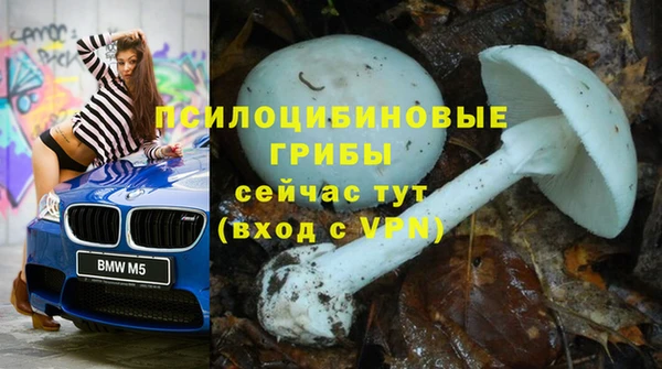 индика Верхний Тагил