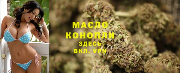 индика Верхний Тагил