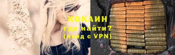 индика Верхний Тагил