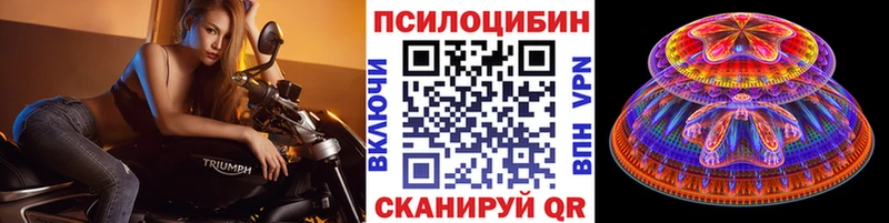 Псилоцибиновые грибы мухоморы  купить наркотик  Володарск 