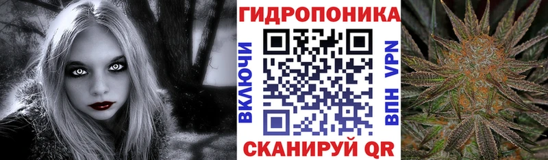 магазин наркотиков Володарск блэк спрут ССЫЛКА Бошки марихуана марихуана